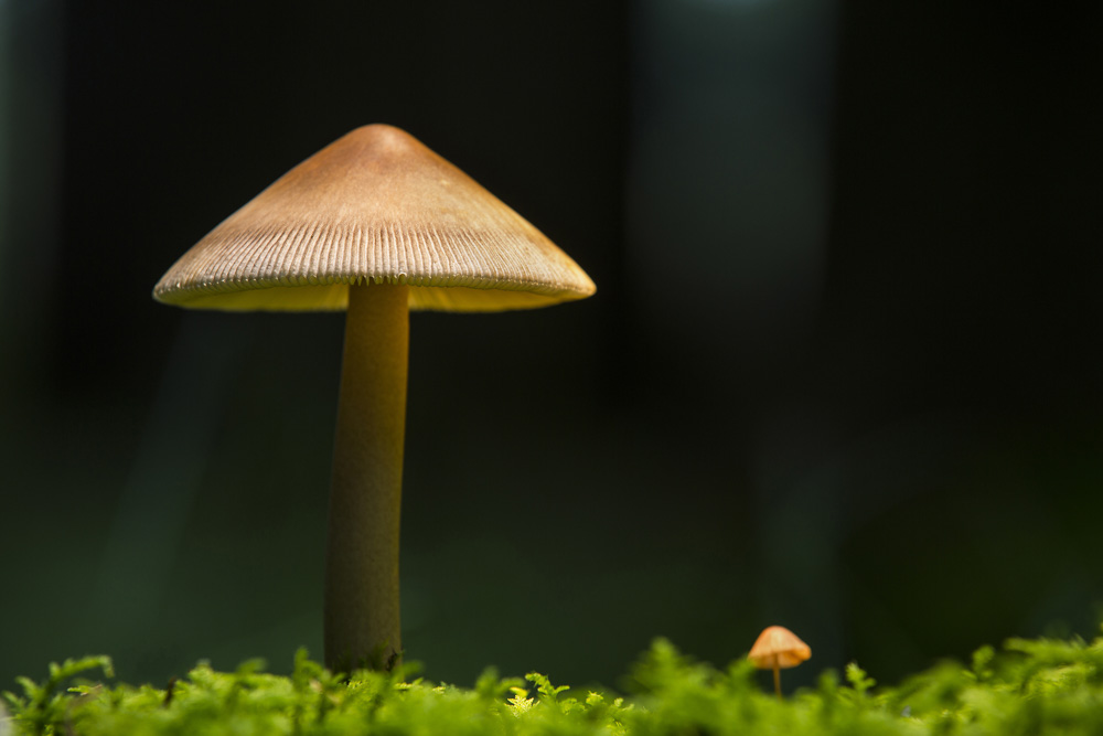 8. Platz Conny Kleiner